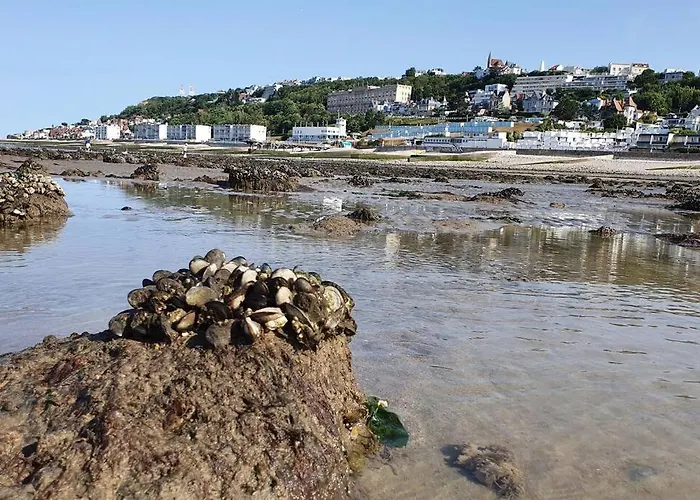 Διαμέρισμα Le Victoria - Confort